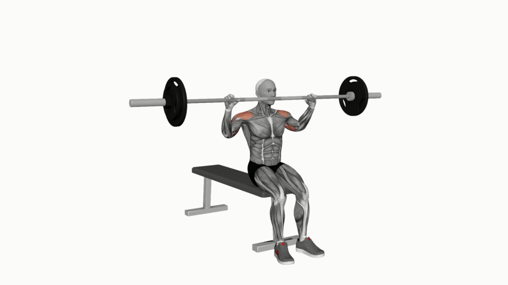 Beginner performing barbell seated overhead press with correct posture and alignment