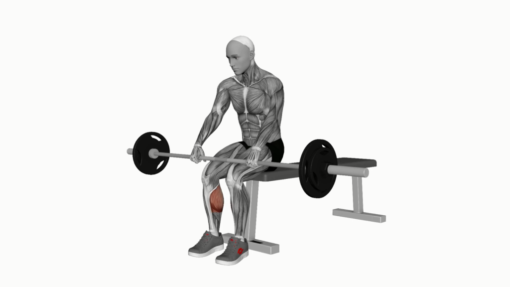 Person performing Barbell Seated on Knee Cave Raises exercise for improved strength and muscle tone.
