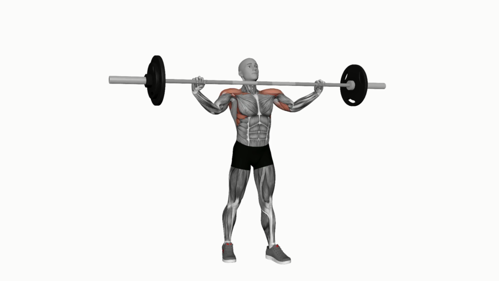 Beginner performing Barbell Standing Wide Grip Military Press with correct form
