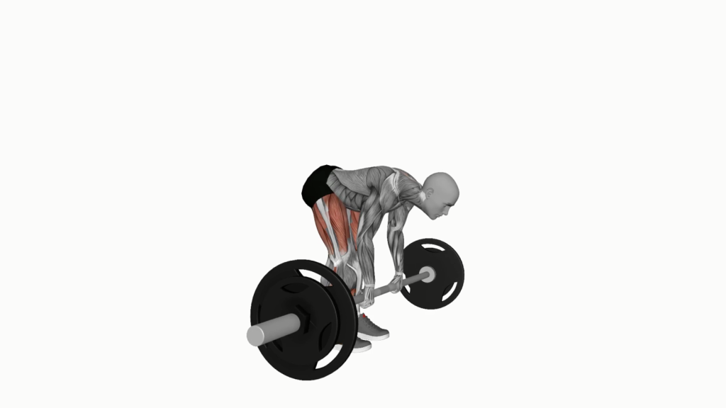 Beginner performing Barbell Straight Leg Deadlift with correct form