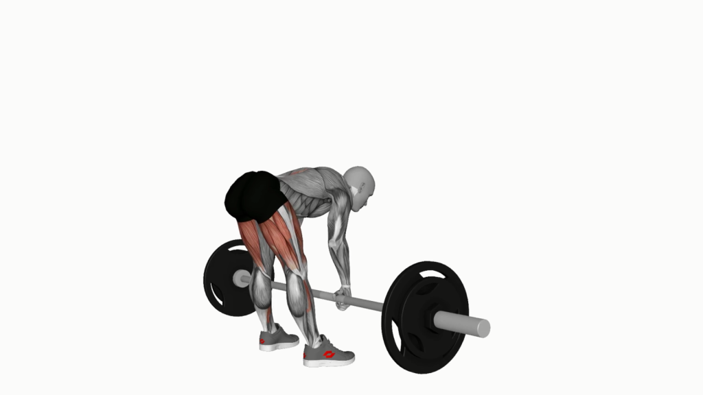 A beginner performing a Barbell Sumo Romanian Deadlift with correct form