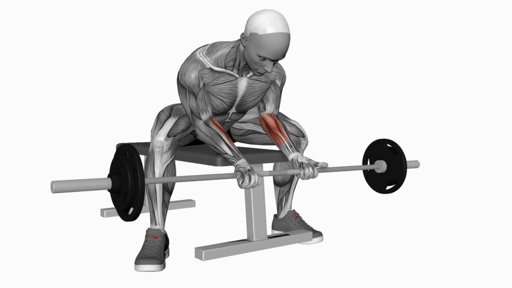 Person executing Barbell Wrist Curl Wide Legs, demonstrating proper form and technique for beginners.
