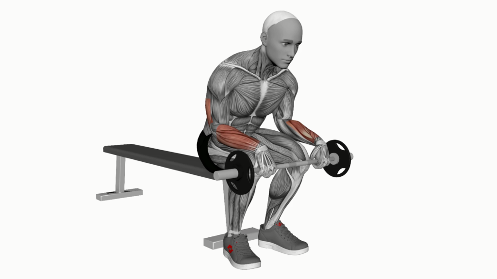 Person doing Barbell Wrist Extension on Knees in a gym setting.
