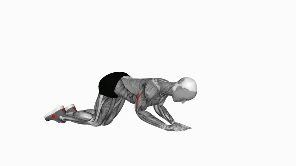 Beginner performing bodyweight kneeling triceps extension