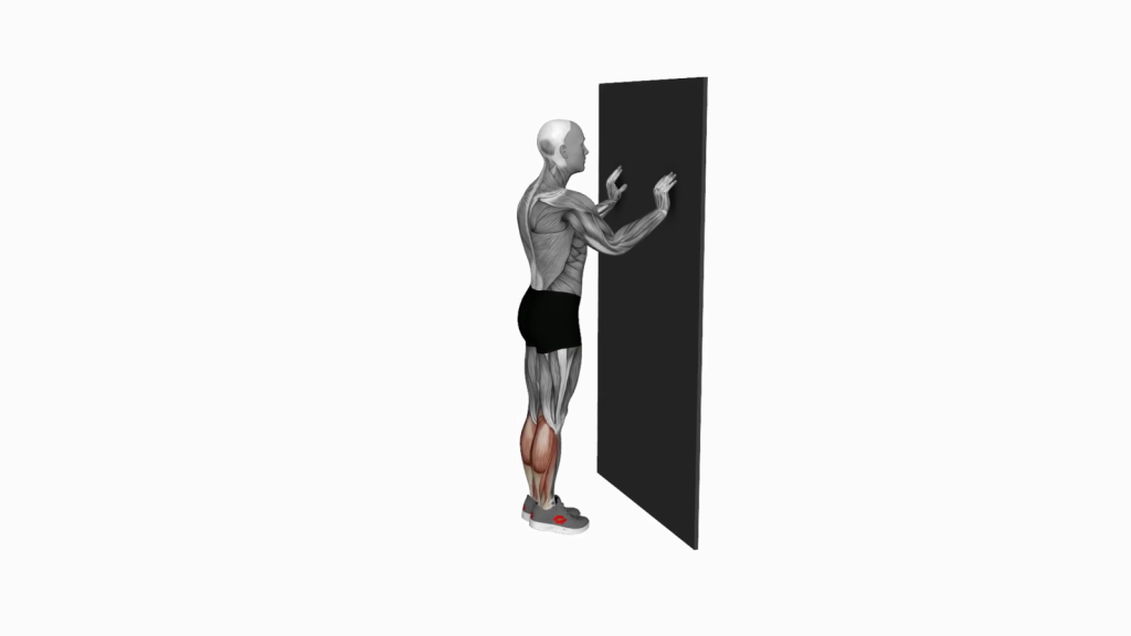 Beginner performing Calf Raise with Wall Support for enhanced lower leg strength.