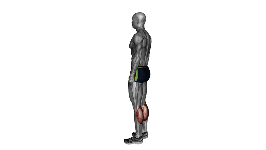 Illustration of a person performing calf raises correctly for effective calf muscle workout