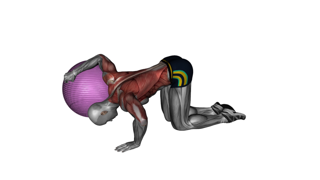 Beginner-friendly chest stretch exercise demonstrated on an exercise ball to improve flexibility and posture.