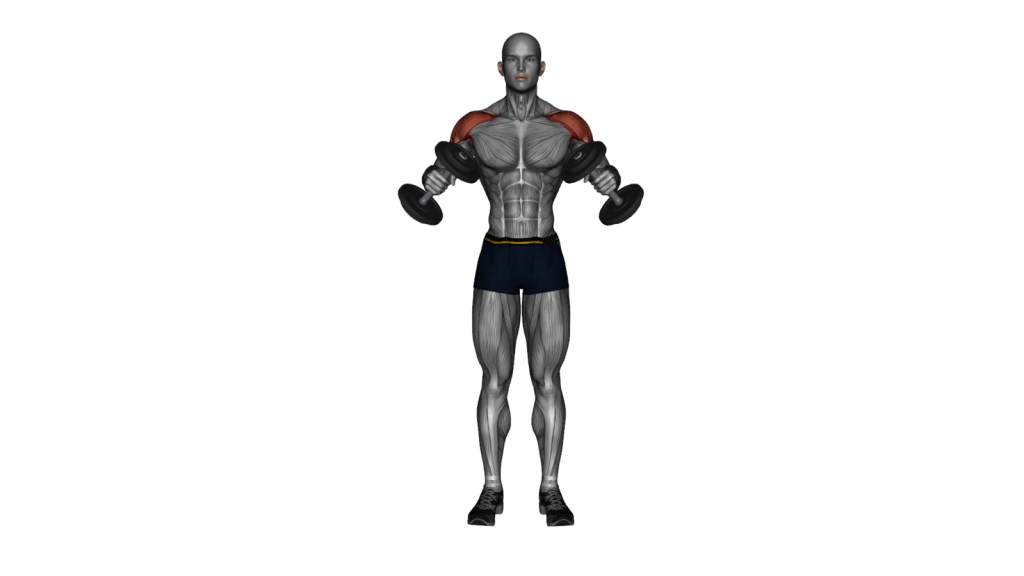Beginner performing Dumbbell Bent Arm Lateral Raise exercise with correct posture