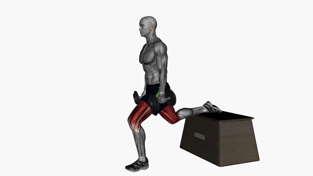 Beginner performing Dumbbell Bulgarian Box Split Squat with correct form and alignment for optimal strength and stability.