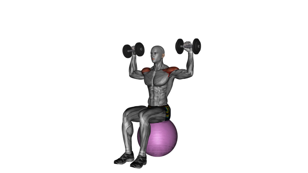 Beginner performing Dumbbell Seated Shoulder Press on an Exercise Ball with correct posture