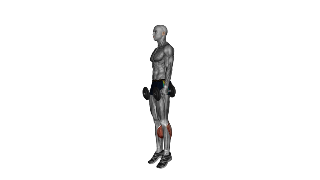 Illustration of an individual performing the Dumbbell Standing Calf Raise exercise, demonstrating proper posture and technique.