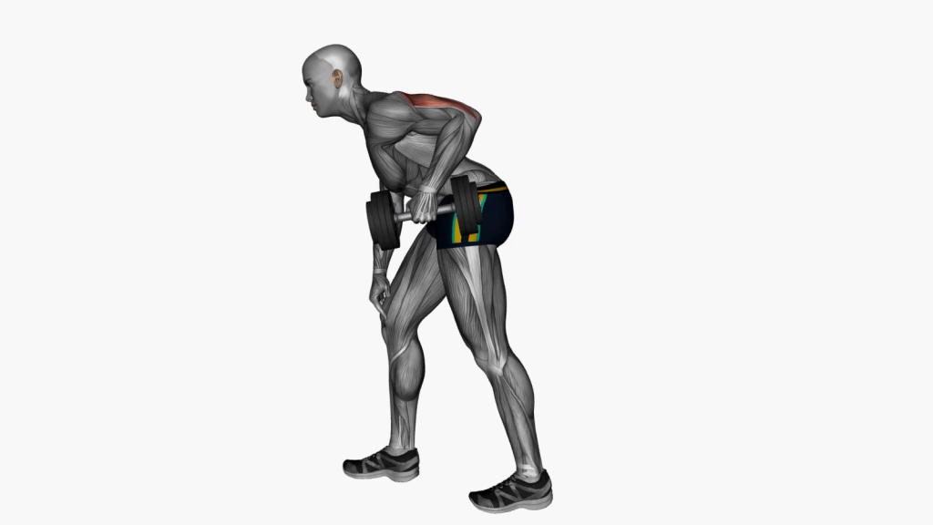 Person performing Single Arm Dumbbell Triceps Kickback exercise