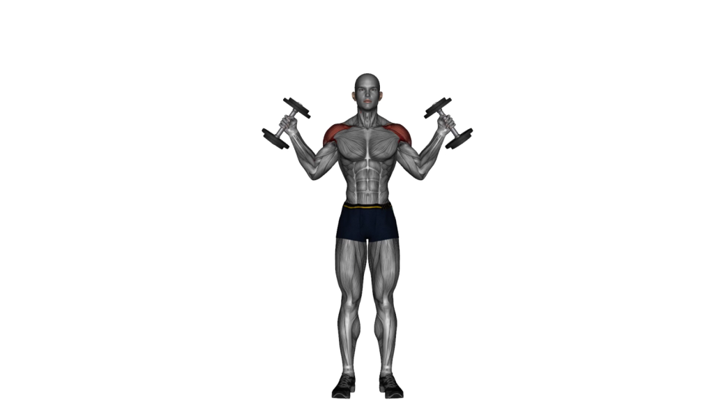 Beginner doing Dumbbell W Press exercise with correct form