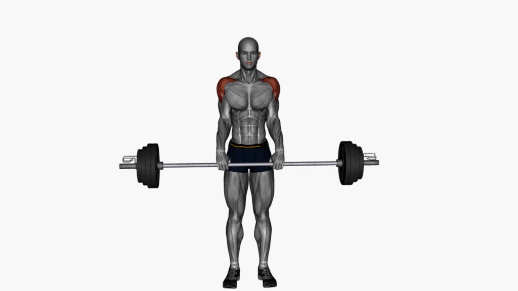 Beginner doing barbell front raises with correct posture and grip.