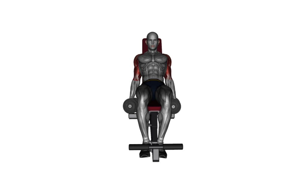 Person performing incline dumbbell front raise for shoulder strengthening