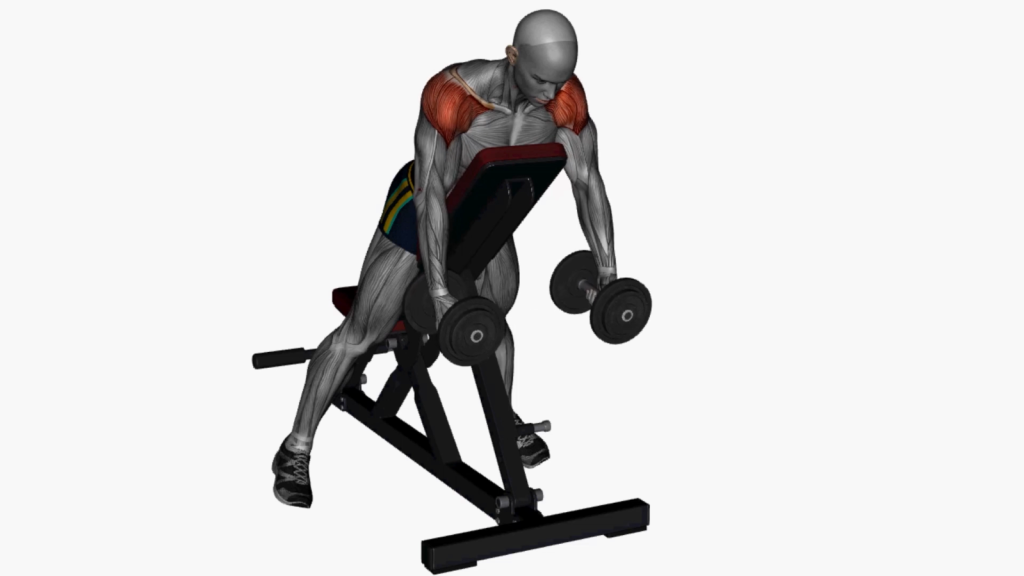 Beginner performing incline lateral raises with dumbbells for shoulder strengthening