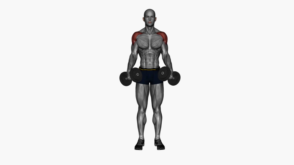 A novice exerciser doing lateral dumbbell raises, focusing on correct posture and alignment.