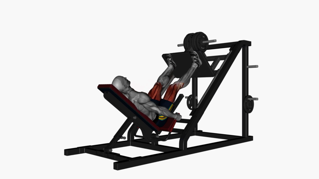 Illustration of an individual performing the Leg Press Wide High Stance, highlighting correct posture and leg alignment.