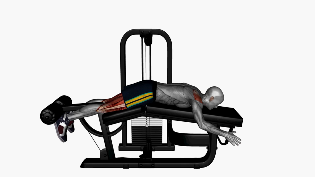 Person performing the lying leg curl exercise on a machine, demonstrating proper form for hamstring strengthening.