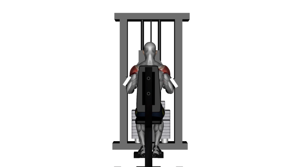 Beginner gym-goer executing the Machine Lateral Raise exercise on gym equipment, focusing on shoulder strength.