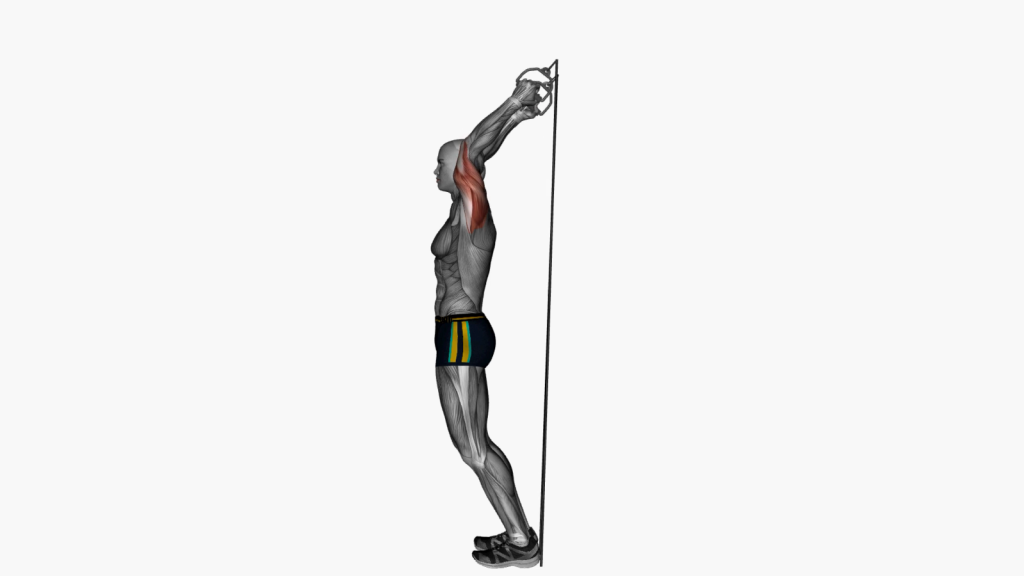 Person doing Overhead Extension exercise using resistance bands.
