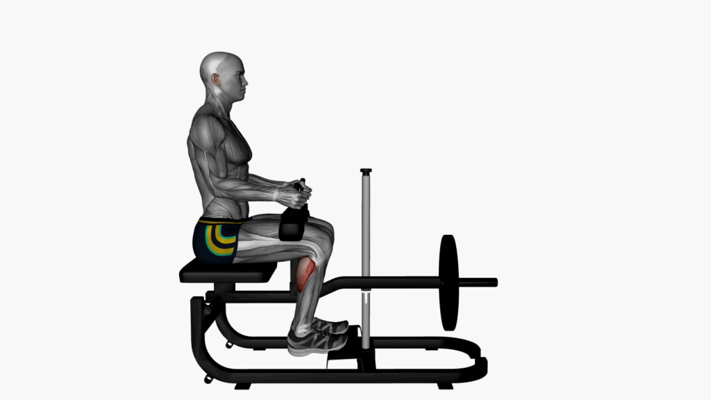 Beginner gym-goer using seated calf machine for effective leg workout.