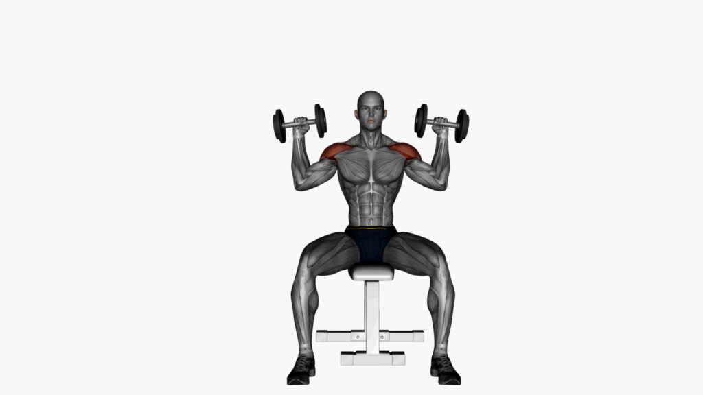 Beginner performing Seated Dumbbell Shoulder Press exercise with correct form