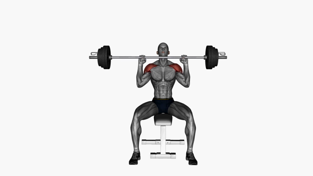 Beginner performing Seated Shoulder Press with a barbell, focusing on proper form and technique.