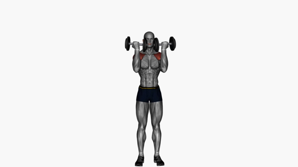 Beginner executing Standing Arnold Press with dumbbells, focusing on proper form and technique
