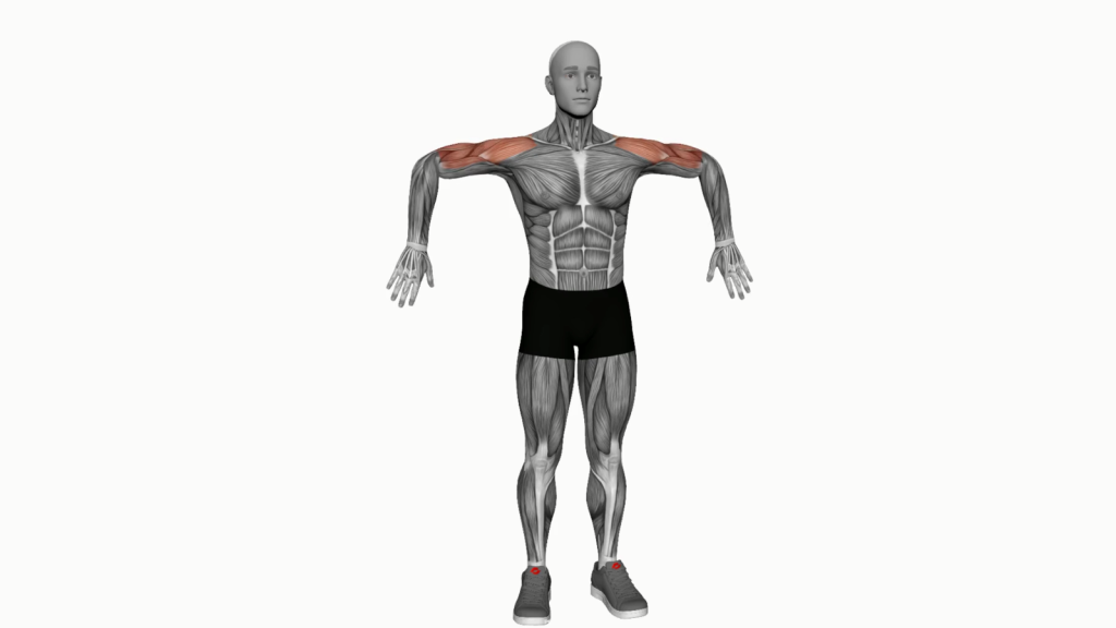 Illustration of a beginner doing the Upward Rotation Extend Arms Exercise.