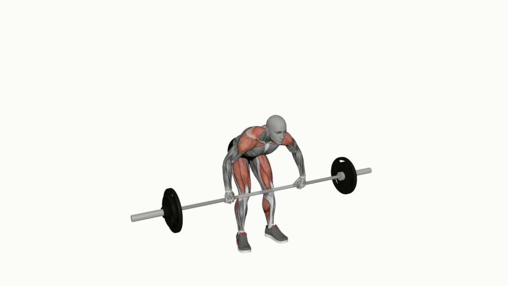 Beginner weightlifter performing barbell clean and press.